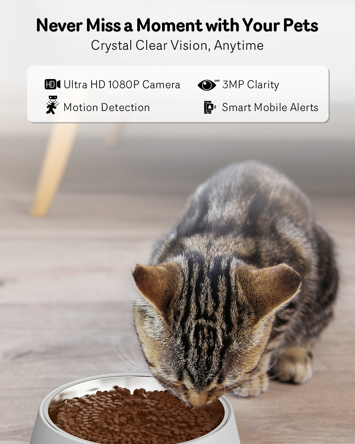 Smart Automatic Cat Feeder With 1080P HD Night Vision Camera