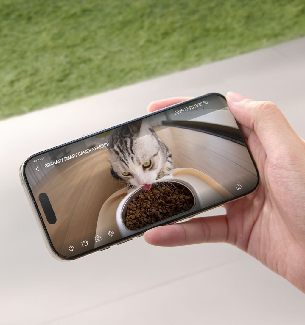 Smart Automatic Cat Feeder With 1080P HD Night Vision Camera