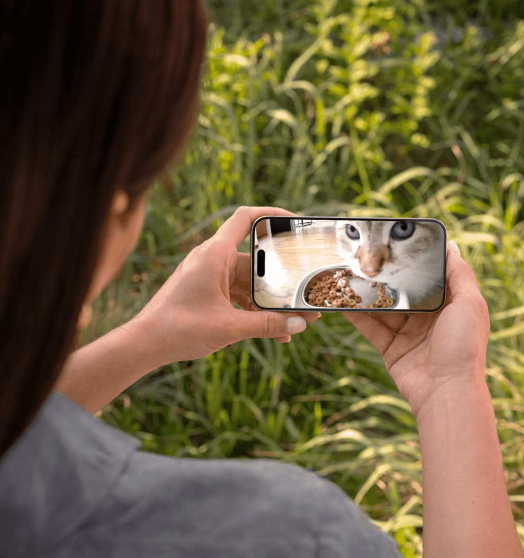 Smart Automatic Cat Feeder With 1080P HD Night Vision Camera